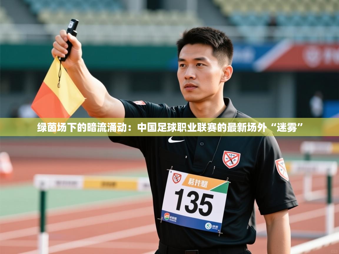 绿茵场下的暗流涌动：中国足球职业联赛的最新场外“迷雾”  第2张